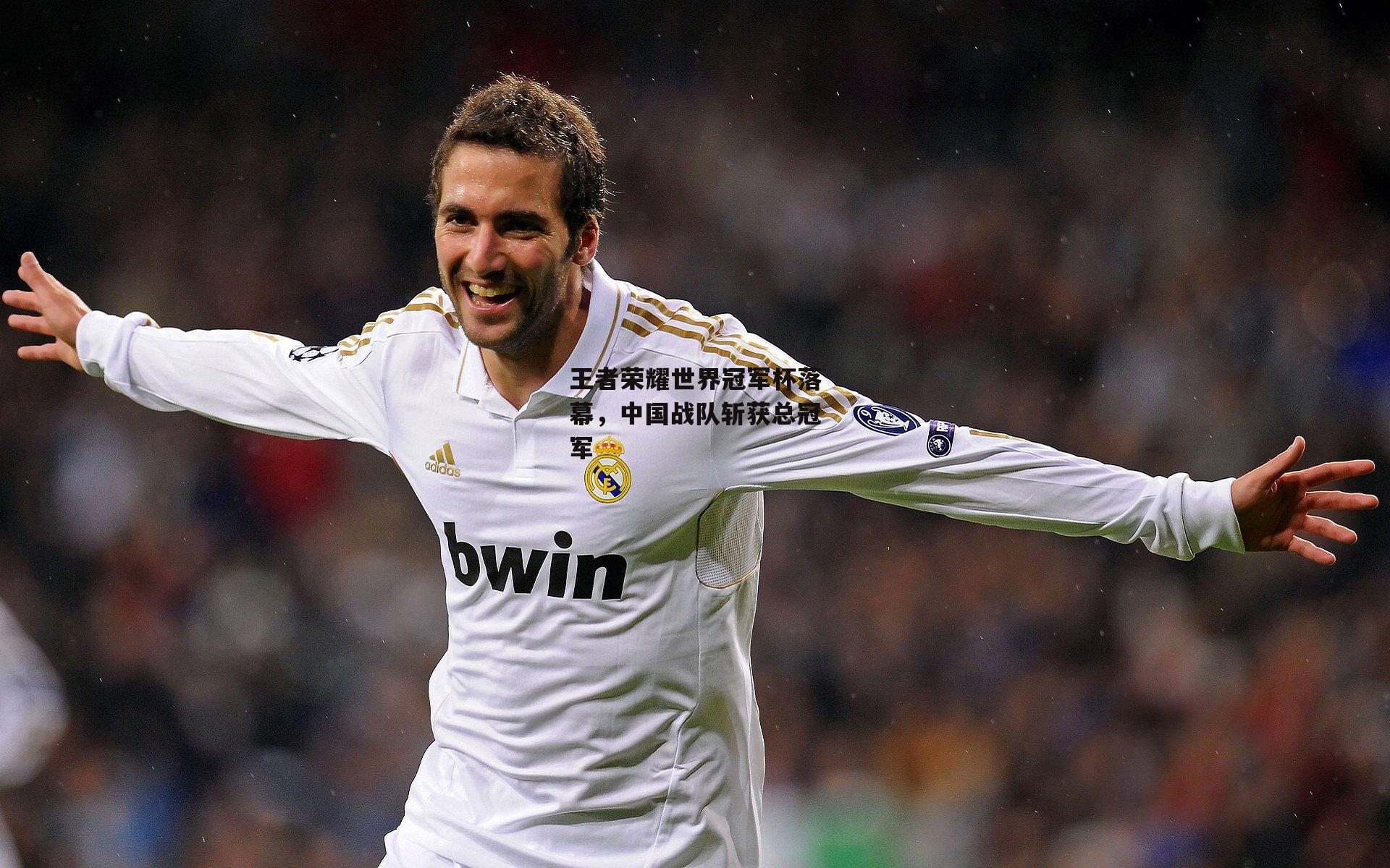 王者荣耀世界冠军杯落幕,中国战队斩获总冠军