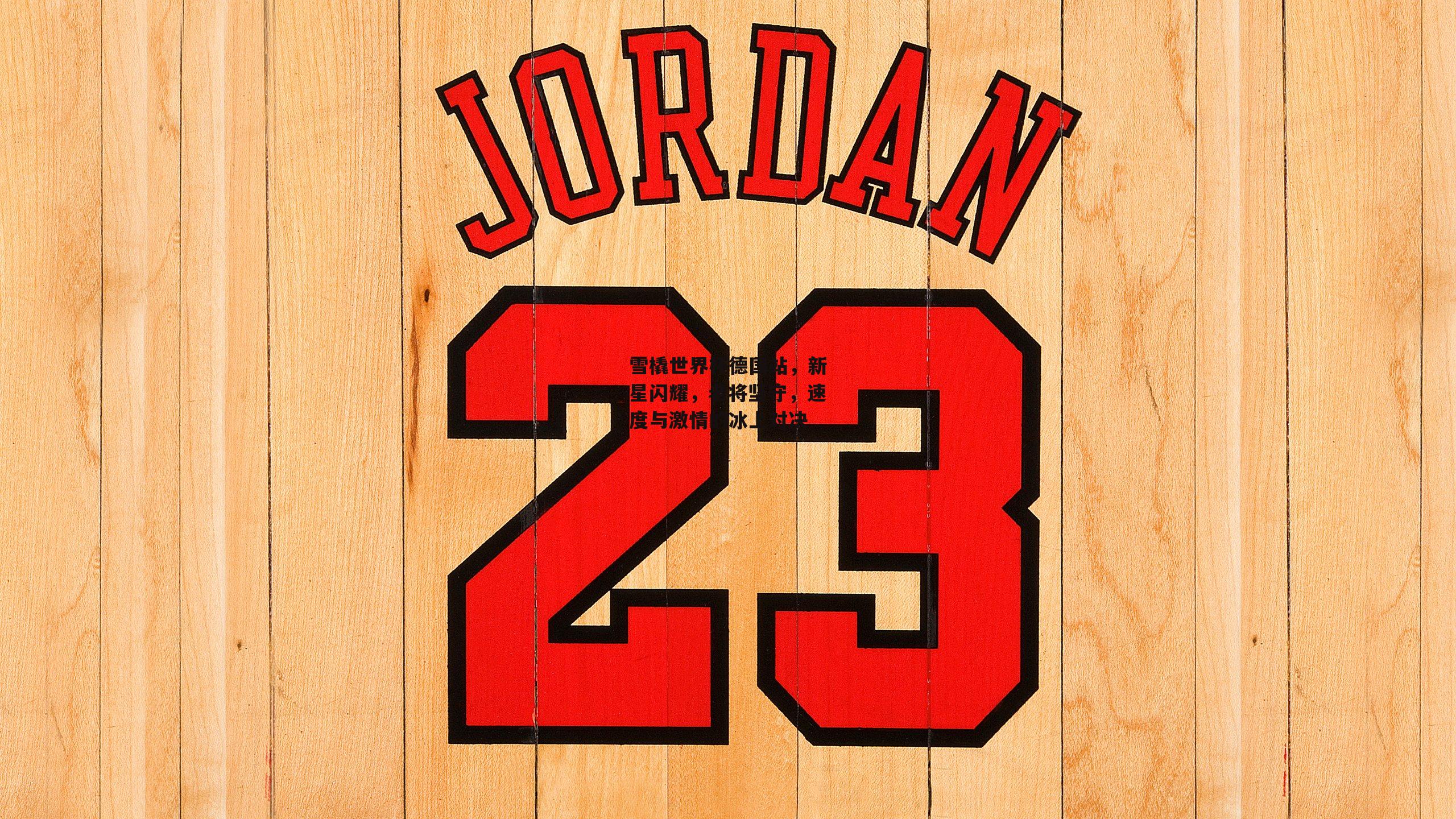 雪橇世界杯德国站,新星闪耀,老将坚守,速度与激情的冰上对决