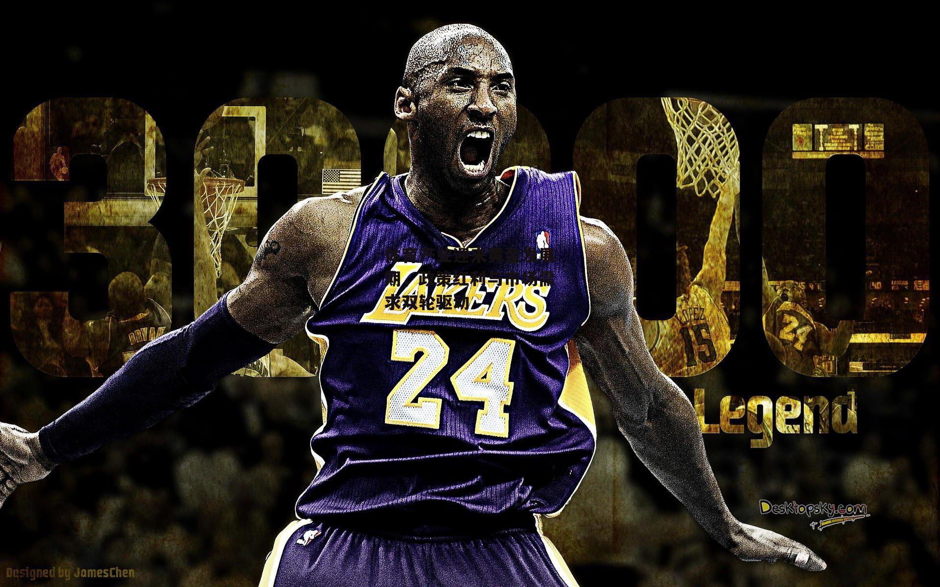 体育产业迎来黄金发展期,政策红利与市场需求双轮驱动