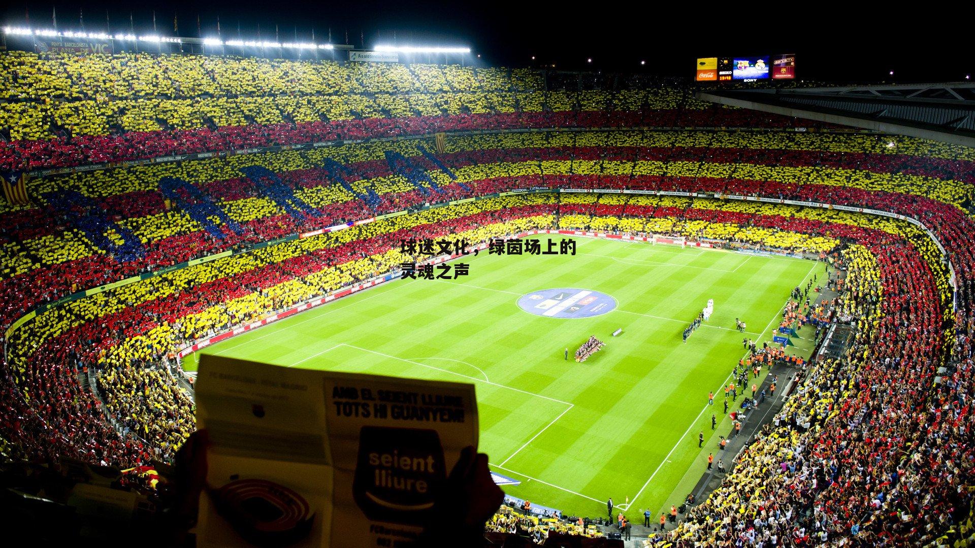 球迷文化，绿茵场上的灵魂之声